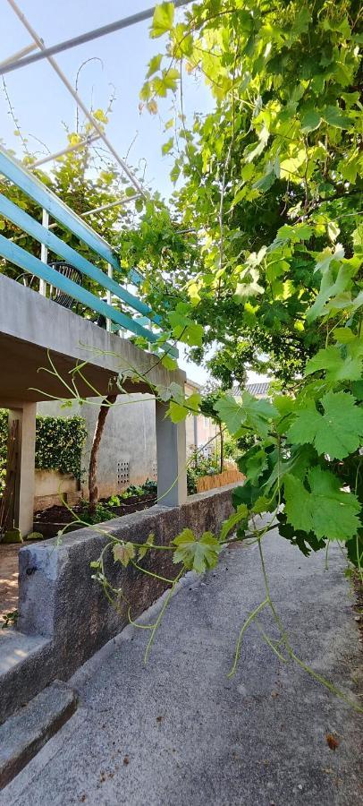 הוילה פונאנט Family House "Pansion Kvarner" מראה חיצוני תמונה